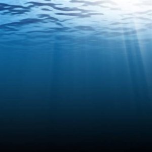 Deep blue sea