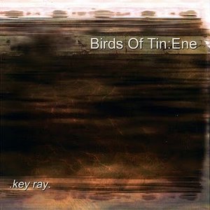 “Birds Of Tin : Ene”的封面