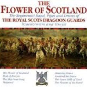 Immagine per 'Flower Of Scotland'