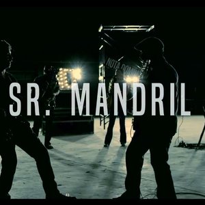 Sr Mandril 的头像