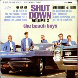 Shut Down, Vol. 2 (Mono)