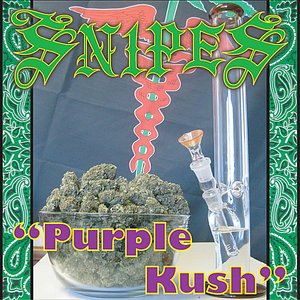 Purple Kush