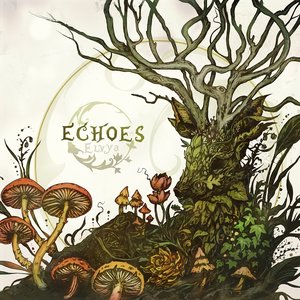 Echoes