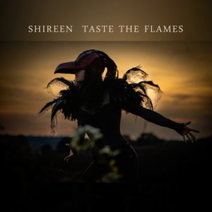 Taste the Flames - Single