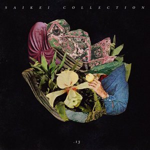 Saikei Collection Vol. 13
