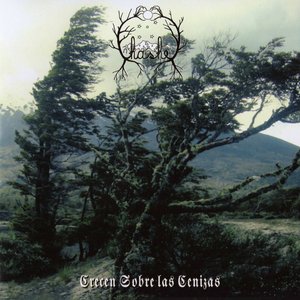 Crecen Sobre Las Cenizas