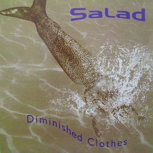 Diminished Clothes