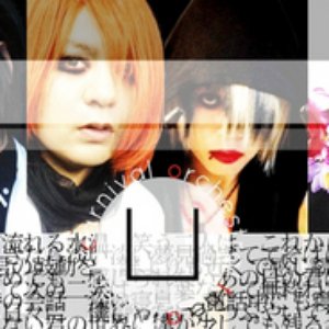 Avatar for orchestral the ambient carnival U