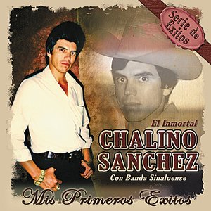 Mis Primeros Exitos - Serie de Exitos