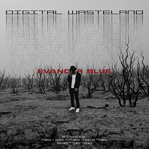 Digital Wasteland