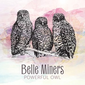 Powerful Owl