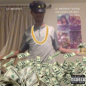 Lil Meerkat Sucks (An Essay on Anti Weebs) [Explicit]