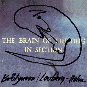 The Brain of the Dog in Section