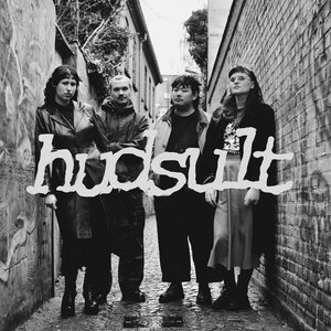 Hudsult 的头像