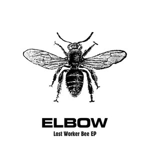 Image for 'Lost Worker Bee - EP'
