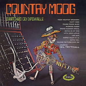 Country Moog / Nashville Gold