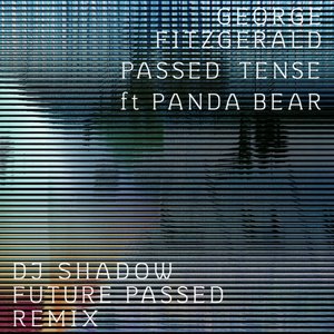 Passed Tense (DJ Shadow Future Passed Remix)