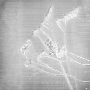 Artificial Flowers - Single