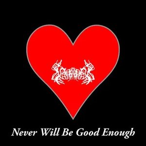 Never Will Be Good Enough