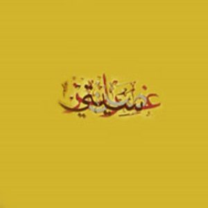 Gum Arabic