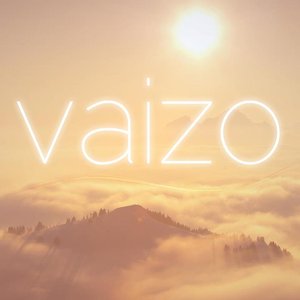 Avatar for Vaizo