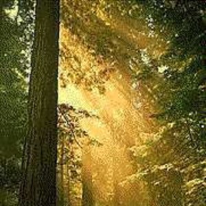 Old Hymns for a New Age