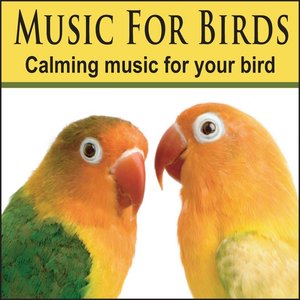 Music For Birds: Cockatoo Music, Bird Music, Parrot Music