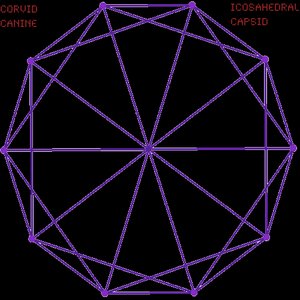 Icosahedral Capsid