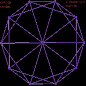 Icosahedral Capsid