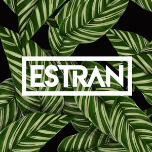 Estran 的头像