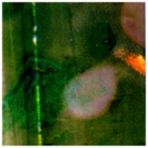 Avatar for JASON / SHINOBU