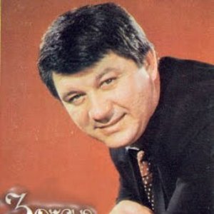 Zoran Gajic 的头像