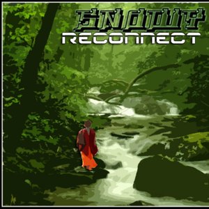 Reconnect