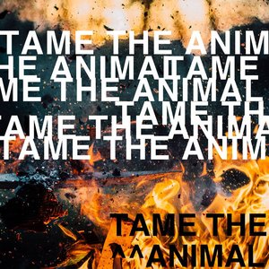 Tame the Animal