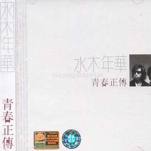 青春正传