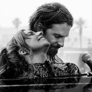 Lady Gaga/Bradley Cooper 的头像