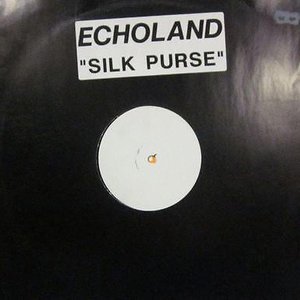 Silk Purse
