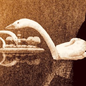 Songs for the Perfect