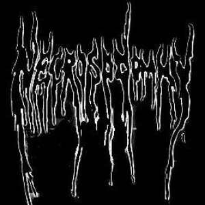 Avatar for Necrosodommy