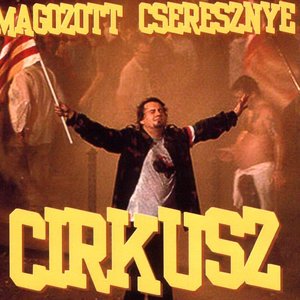 Cirkusz