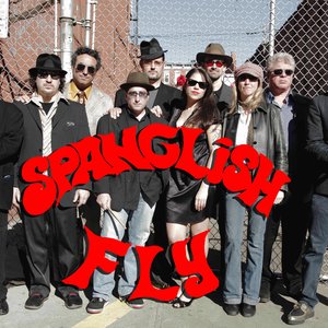 Аватар для Spanglish Fly