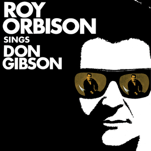 Roy Orbison - Sings Don Gibson - Zortam Music