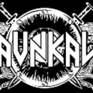 “Ravnkald”的封面