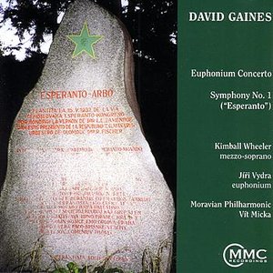 The Music Of David Gaines