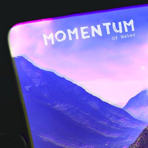 Momentum