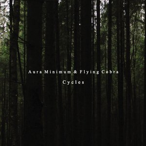 Cycles