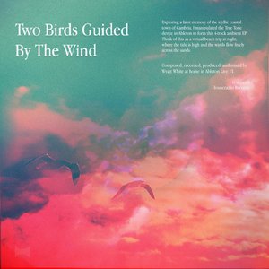 Two Birds Guided By The Wind