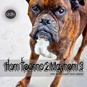 From Techno 2 Mayhem 3 (This is all what you need!) [Explicit]