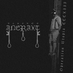 Aneraxt 的头像