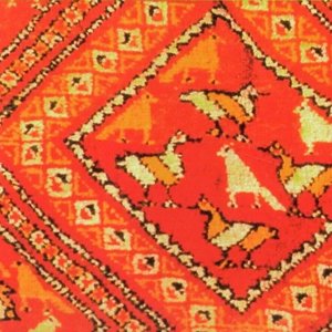 les imazighen 的头像